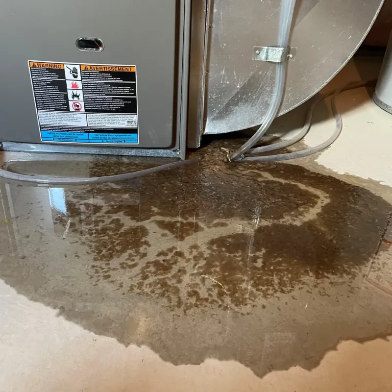 Appliance Leak Cleanup in Preston, TX