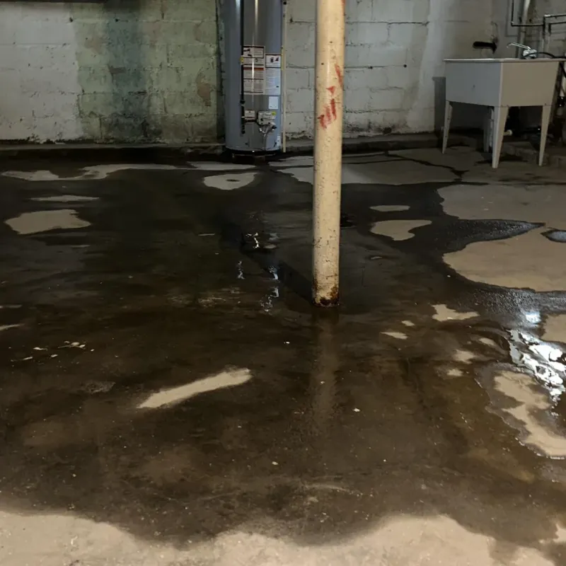 Emergency Water Extraction And Removal in Preston, TX